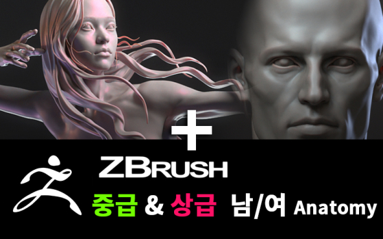 Zbrush Anatomy 남성 + 여성