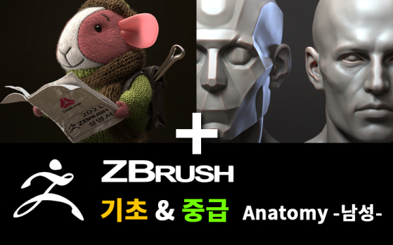 Zbrush 기초 + Anatomy 패키지
